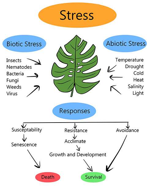 An FAQ illustrated diagram showing the stressors that plants face, and their possible responses.